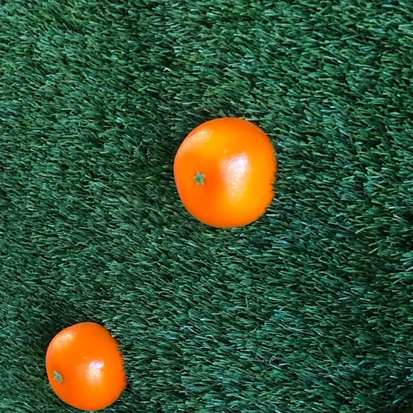 Meet your Posher, Skylar - Picture 1 of 1